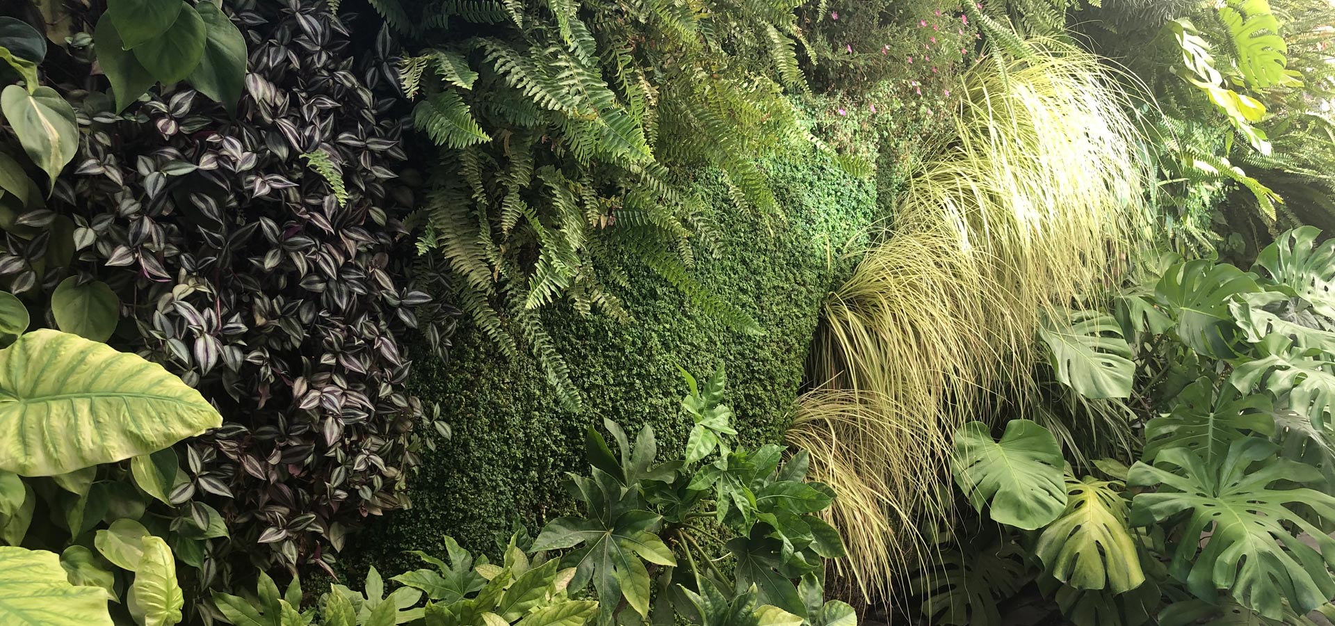 Gartenhof K�sters - Indoor-Wandbegr�nungen